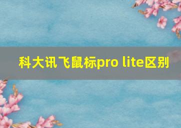 科大讯飞鼠标pro lite区别